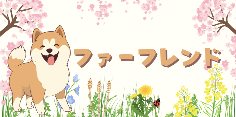 カワイイがいっぱい！ワンダーランド